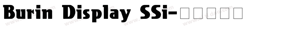 Burin Display SSi字体转换